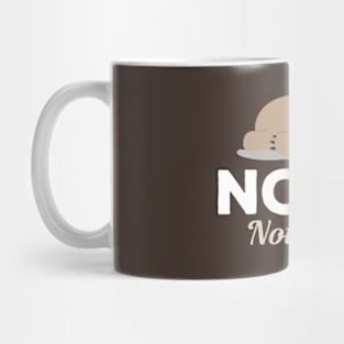 Nope Not Today Sleeping Sloth Mug